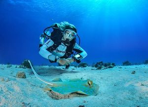 PADI Kurs Instruktorski (IDC)