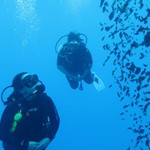 dive hurghada-diving-dive-daily-buddy-diver-safari-sea-red sea-hurghada-egypt-fun-enjoy