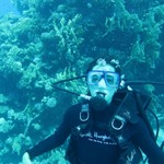 dive hurghada-diving-dive-daily-buddy-diver-safari-sea-red sea-hurghada-egypt-fun-enjoy