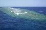  ELPHINSTONE REEF
