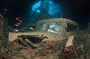  SS THISTLEGORM