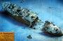  SS THISTLEGORM