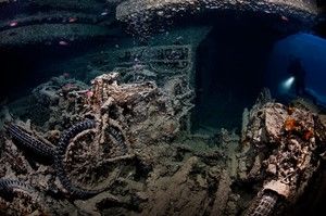  SS THISTLEGORM